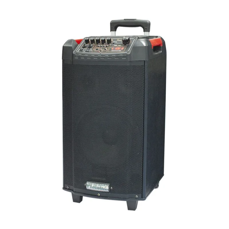 10 Inch Bt Portable Double Trolley Party Speaker with Remote USB Function LED Lighting Speaker