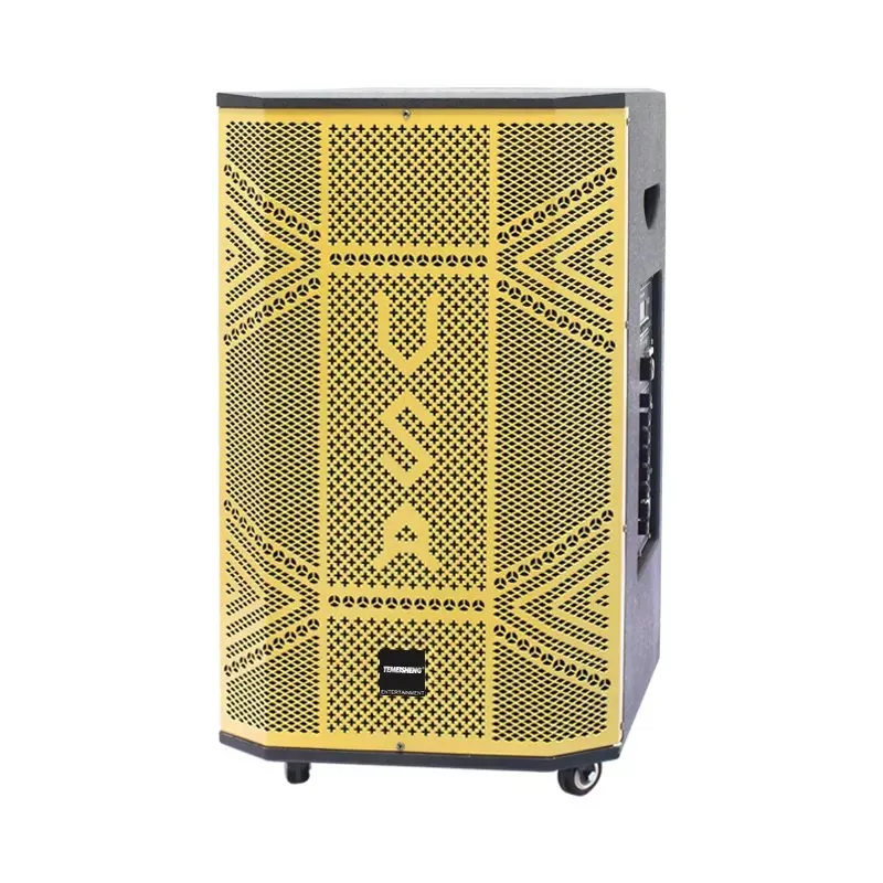 Temeisheng Tms-31 Große tragbare Soundausrüstung aus Holz, kabellose Karaoke-Party, Buletooh-Lautsprecherbox