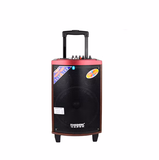 150-W-Karaoke-System aus Holz, Super-High-Power-Output-Lautsprecher, 10-Zoll-Tieftöner mit Hochtöner, große Lautsprecher, Bluetooth, kabellos