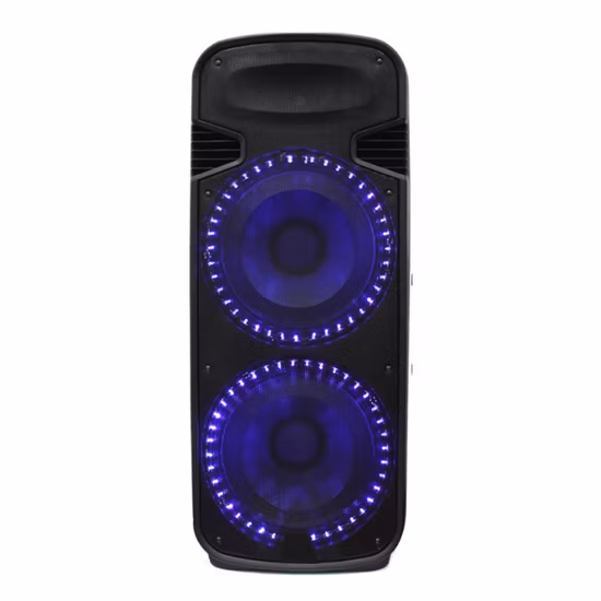 Audio Double 15 Zoll tragbarer Bluetooth-Lautsprecher mit FM/USB-Ersatzteilzubehör zusammenbauen