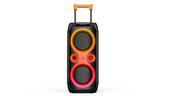 2022 Privater Lautsprecher, leistungsstarker PA-Audio-Dual-10-Zoll-Wireless-Bluetooth-DJ-Disco-Karaoke-Woofer-Party-Lautsprecher mit integriertem Verstärker Caixa De Son De 100 W